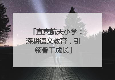 宜宾航天小学：深耕语文教育，引领骨干成长